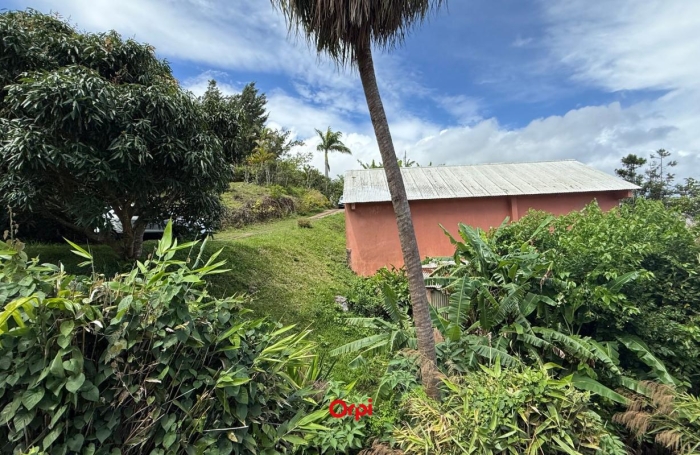 Vente Terrain 97417