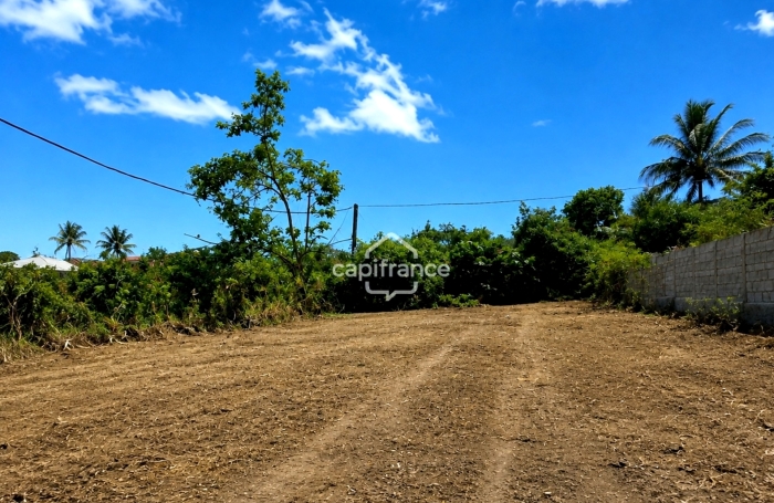 Vente Terrain 97424