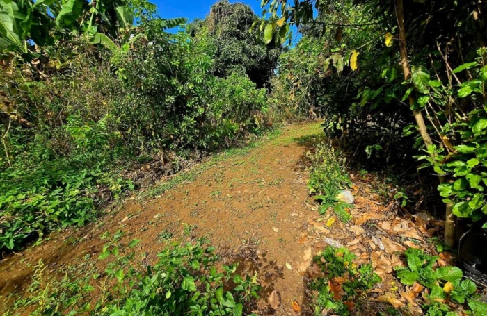 Vente Terrain 97432