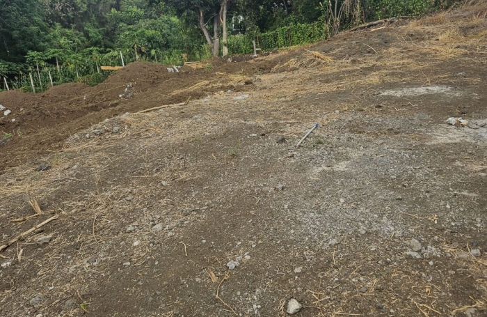Vente Terrain 308m&sup2; Ravine des Cabris