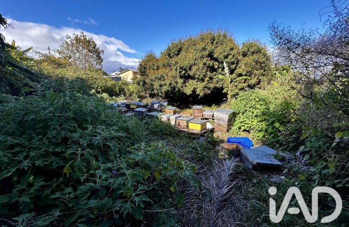 Vente Terrain 414m&sup2; Le Tampon