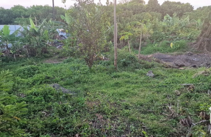Vente Terrain 560m&sup2; Sainte Anne