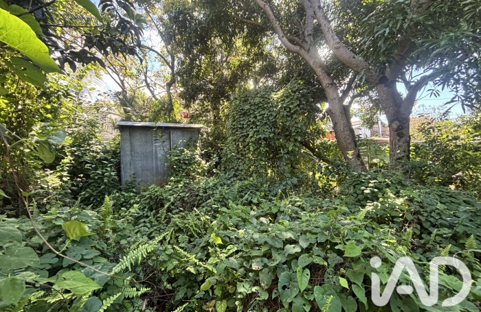 Vente Terrain 565m&sup2; Petite &icirc;le