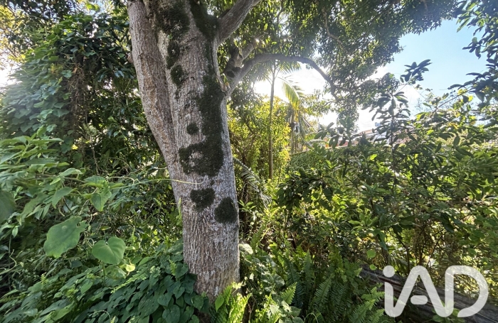 Vente Terrain 565m&sup2; Petite &icirc;le