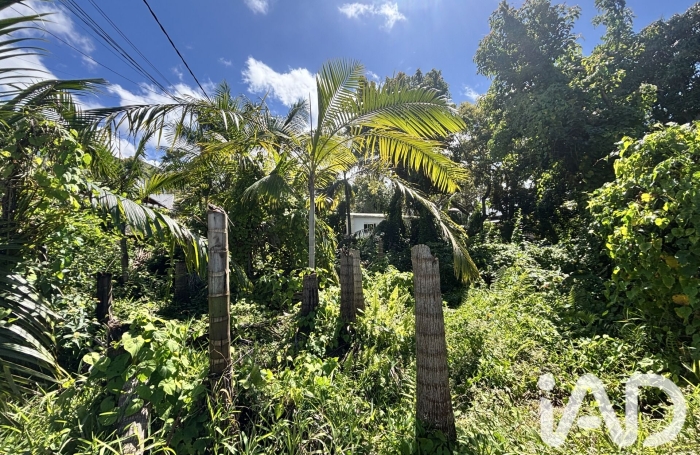 Vente Terrain 565m&sup2; Petite &icirc;le