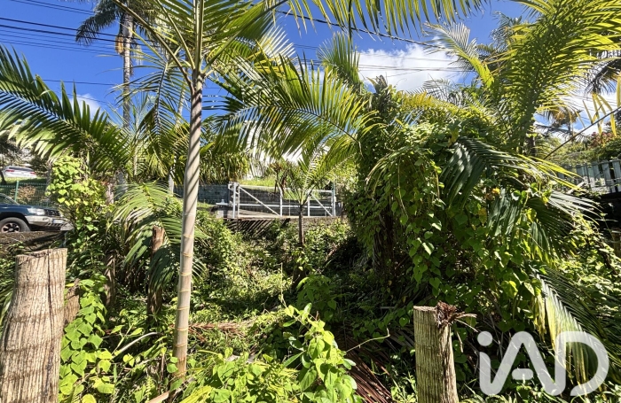 Vente Terrain 565m&sup2; Petite &icirc;le