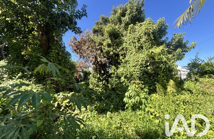 Vente Terrain 565m&sup2; Petite &icirc;le
