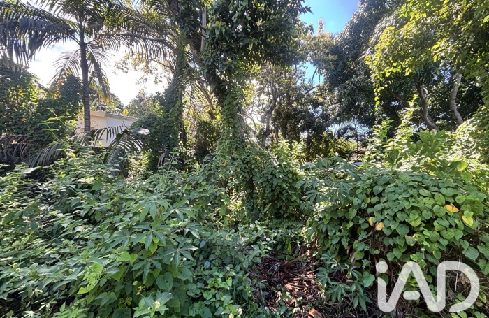 Vente Terrain 565m&sup2; Petite &icirc;le