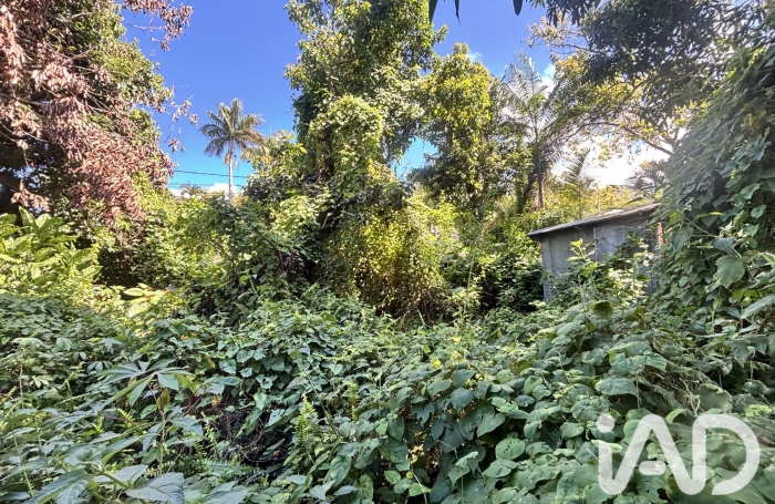 Vente Terrain 565m&sup2; Petite &icirc;le