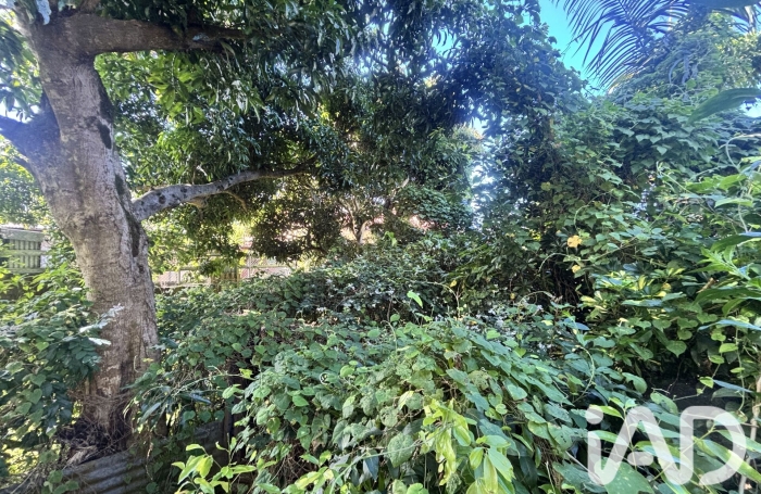 Vente Terrain 565m&sup2; Petite &icirc;le