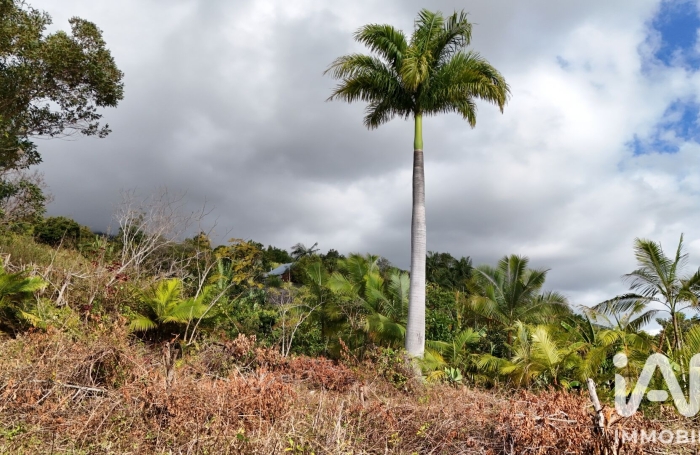 Vente Terrain 97436