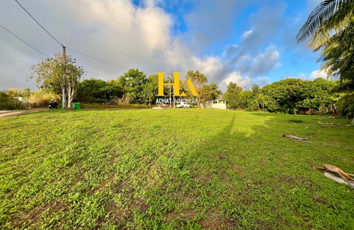 Vente Terrain Petite &icirc;le