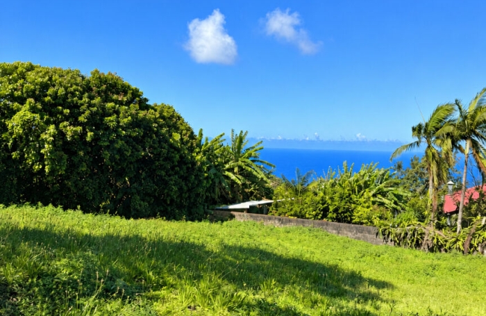 Vente Terrain Petite &icirc;le