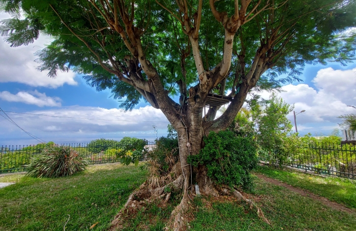 Magnifique villa F4/5 avec vue mer