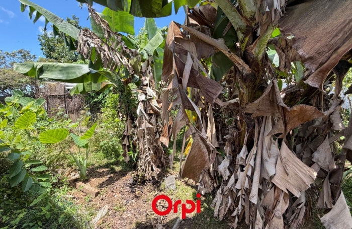 Vente Terrain 585m&sup2; Saint Andr&eacute;