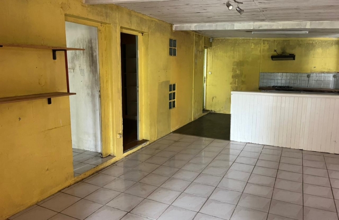 Lot de 2 biens maison plus local commerce &agrave; La Plaine des Palmistes