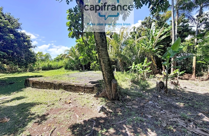 Vente Terrain 1270m&sup2; Sainte Anne