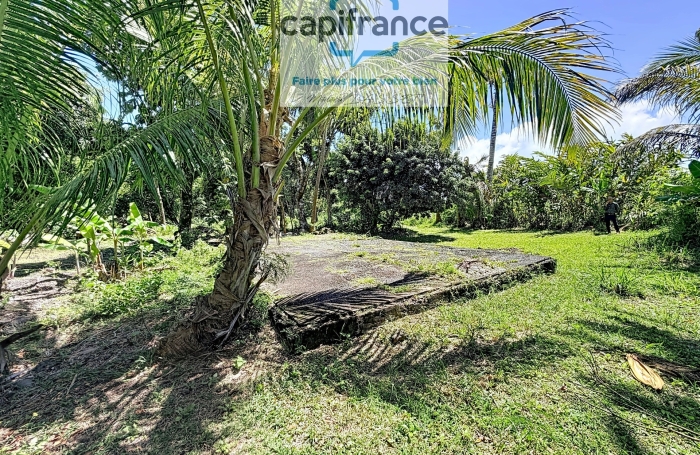 Vente Terrain 1270m&sup2; Sainte Anne