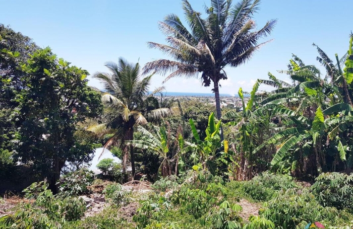 Vente Terrain 97441