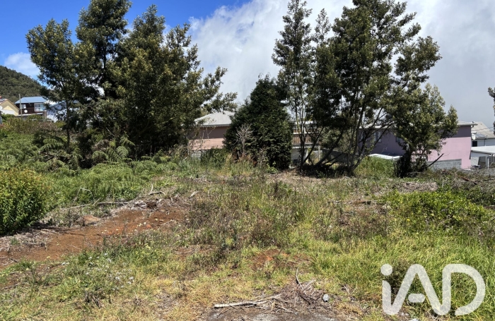 Vente Terrain 750m&sup2; Plaine des Cafres