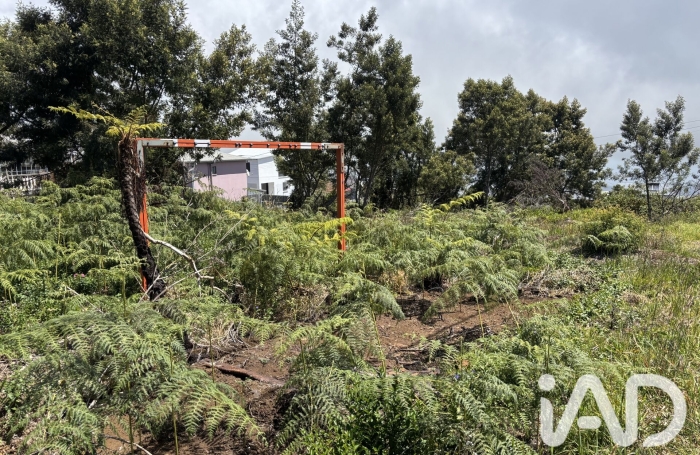 Vente Terrain 750m&sup2; Plaine des Cafres