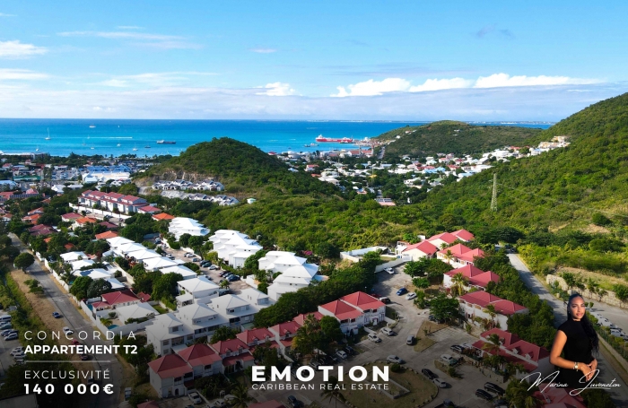 Vente Appartement 97150